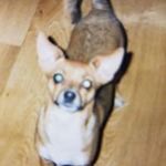 Joanne Soto - @joannesoto65 - Instagram