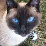 Jo Ann Baumann-Spangler - @spangler.joann - Instagram