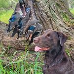 Joanne Spangler - @spanglerjoanne - Instagram