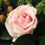 Joanne Spaulding - @jospaulding74 - Instagram