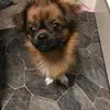 Joanne  - @joanne.speck1 - TikTok