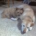 Joanne Speer - Facebook