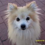 Jo-Anne Squires - @joanne.squires.9803 - Instagram