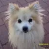 Jo-Anne Squires - @joanne.squires6 - TikTok