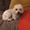 Joanne Squires - @joanne.squires0 - TikTok