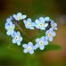Joanne Stanford - Facebook