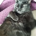 Joanne Stauffer - @adell48z7 - Instagram