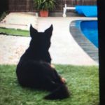 Joanne Stock - @joannestock6 - Instagram
