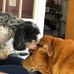 Joanne Stoddard - Facebook