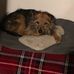 Joanne Street - Facebook