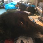 Joanne Strong - @joannestrong5999 - Instagram