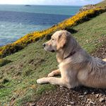 Joanne Tarr - @jo_fhs - Instagram