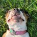 Joanne Tate - Facebook