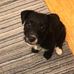 Joanne Tate - Facebook