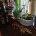 Joanne Tate - Facebook