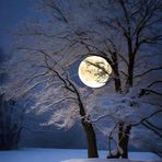 Joann Testerman - Facebook