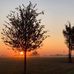 Joanne Hardy Tharp - Facebook