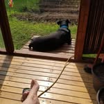 Joanne Thibodeau - @joanne.thibodeau.1 - Instagram