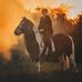 Joanne Thibodeau - Facebook