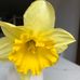 JoAnne Tobin - Facebook