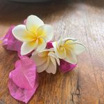 Joanne Tobin - @jotob_ - Instagram