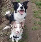 Joanne Todd - Facebook