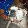 Joanne Todd - @jotodd2 - TikTok