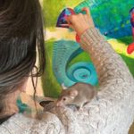 Joanne Totten Art + Design - @joannetottenart - Instagram