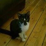 Joanne Townley - Facebook