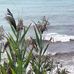 Joanne Travers - Facebook