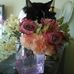 Joanne Trombley - Facebook
