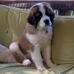 Joanne Manzinger Ulrich - @nobubbano - Instagram