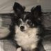 Joanne Ulrich - Facebook