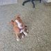 Joanne M. Valentin - Facebook