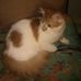 Joanne Vasquez - Facebook