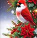 JoAnn Troccko Vining - Facebook