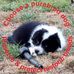 Joanne Walden - Facebook
