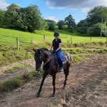 Joanne Walls - @jowalls7 - Instagram
