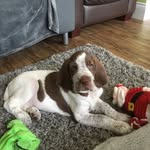 Joanne Ware - @sully_ware - Instagram