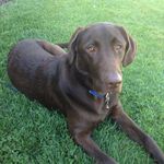 Joanne Wargo - @jdepaulwargo - Instagram