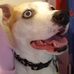 Joann Warwick - Facebook