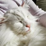 Joanne Warwick - @jovey48 - Instagram