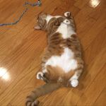 Joanne Dymek Weiner - @joannedymekweiner - Instagram
