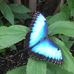 Joanne Whitehead - Facebook