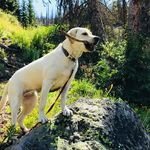 Joanne Whitney - @summit_and_colorado_adventures - Instagram