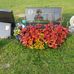 JoAnn Whittaker - Facebook