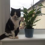 Joanne Whittaker - @joannewhittaker8009 - Instagram