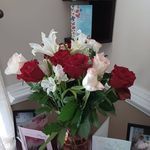 Jo-Anne Wiggins - @jtw550 - Instagram