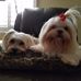 Joanne Wiggins - Facebook