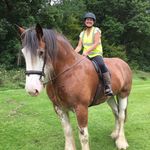Terri Joanne Wiggins - @terrijoannewiggins - Instagram
